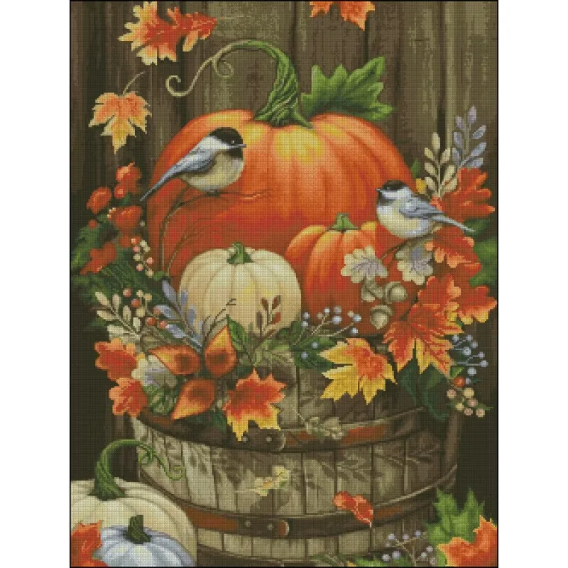 [ZZ3276-Pompoenvogel] |   Begi - Cross Stitch Stamped Kits Beginners recensie en prijs